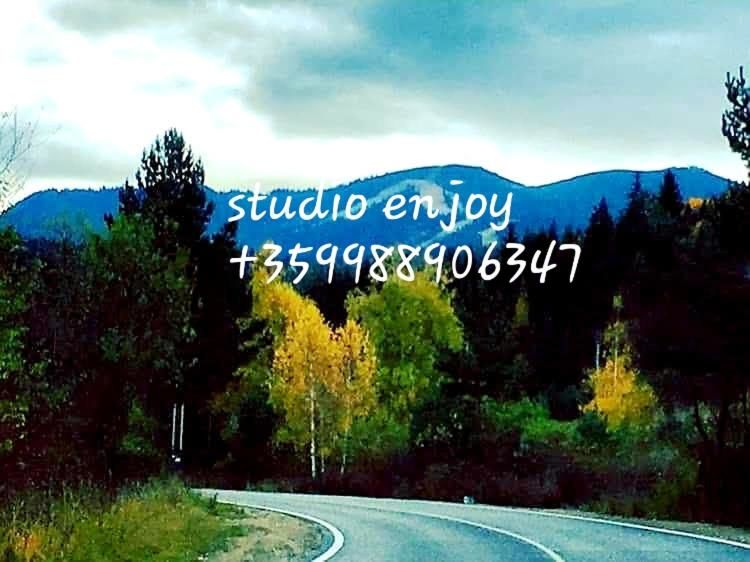 Апарт-отели Villa Park Studio Enjoy Боровец